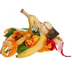 fruits.veggies.for.compost